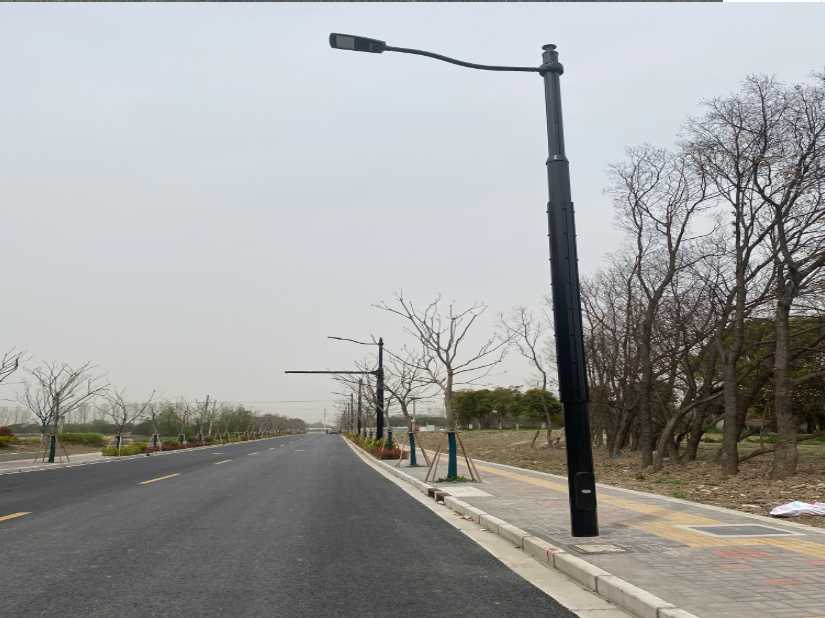 柳州市上海综合杆 太阳能路灯工程